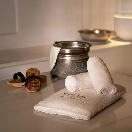 Park Hyatt - Macka 호텔